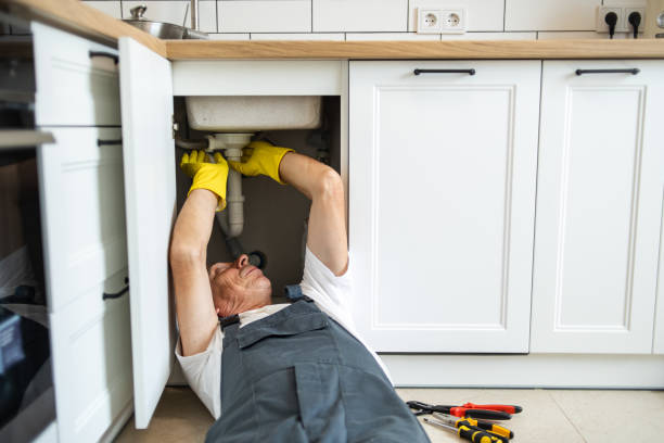 Best Local Plumber Services  in Haiku Pauwela, HI